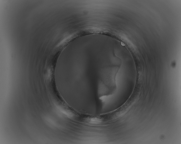 X0000094810165200711241454