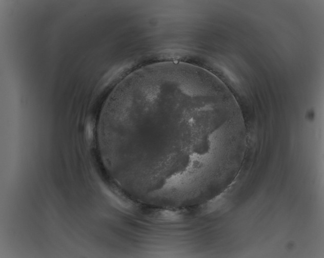 X0000094810166200711241454