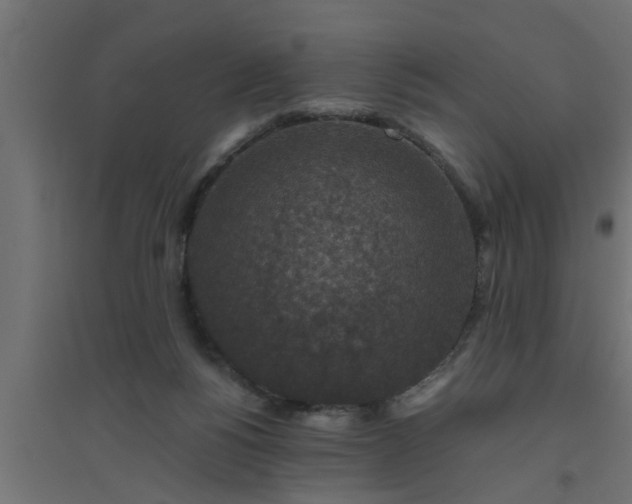 X0000094810168200711241454