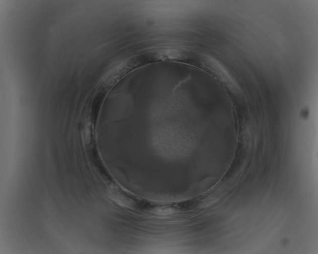 X0000094810169200711241454