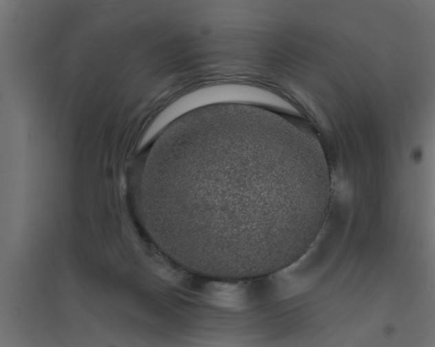 X0000094810170200711241454