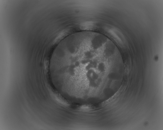 X0000094810171200711241454