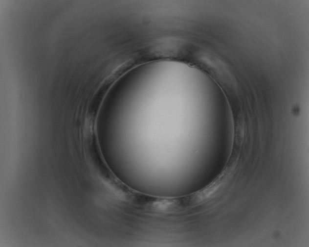 X0000094810172200711241454