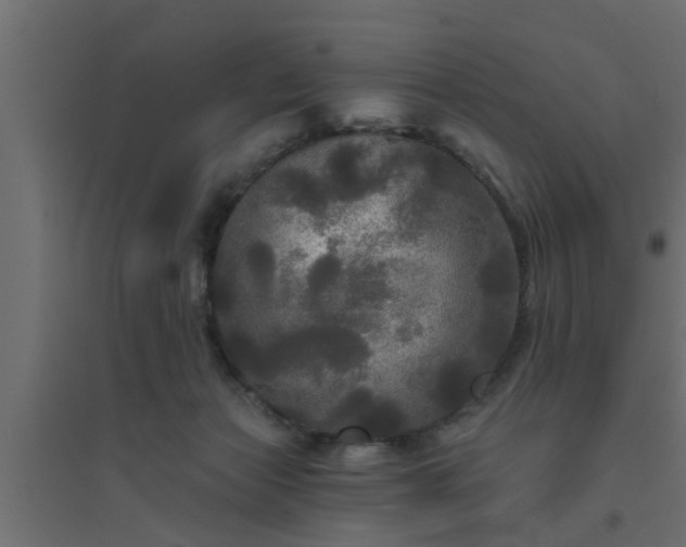 X0000094810173200711241454