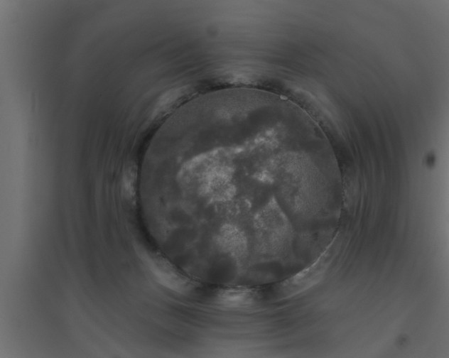 X0000094810175200711241454