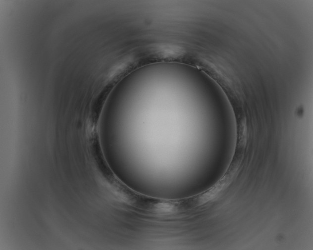 X0000094810176200711241454