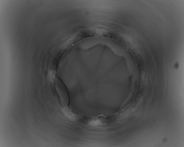 X0000094810177200711241454