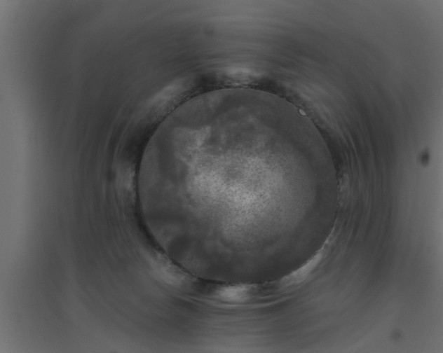 X0000094810178200711241454