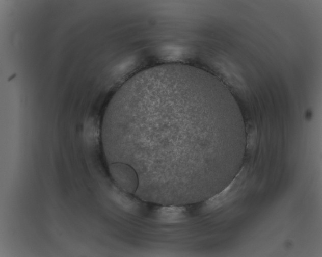 X0000094810179200711241454