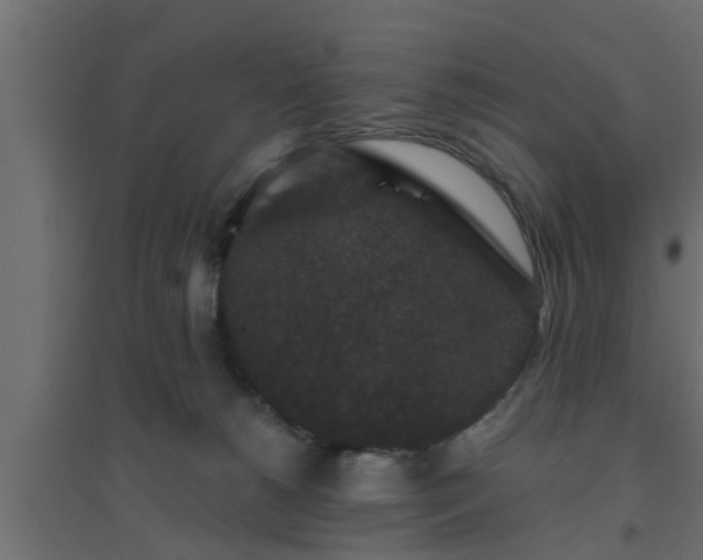 X0000094810180200711241454