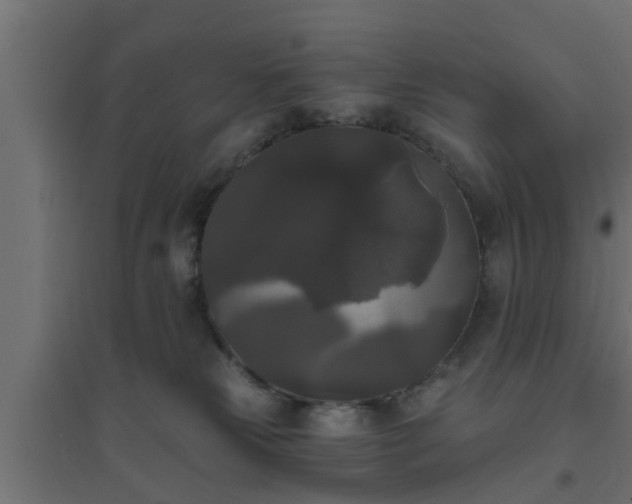 X0000094810181200711241454