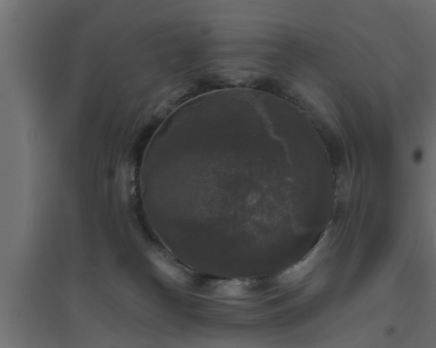 X0000094810182200711241454