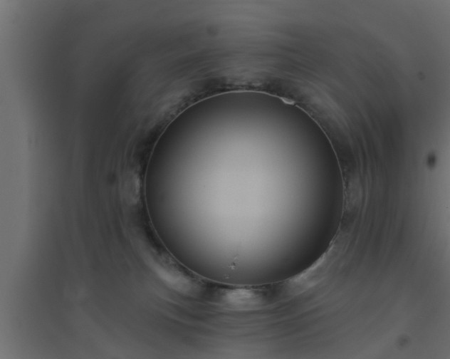 X0000094810183200711241454