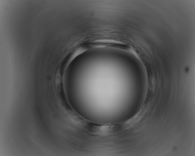 X0000094810184200711241454