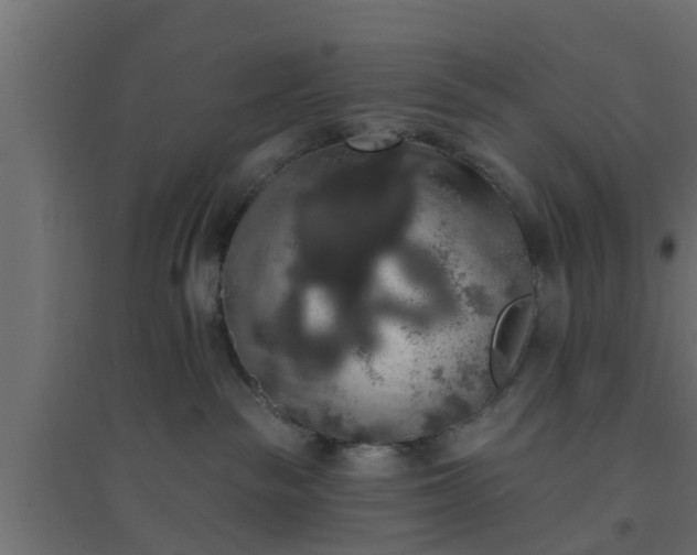 X0000094810189200711241454