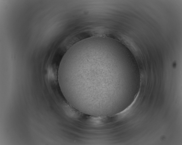 X0000094810190200711241454