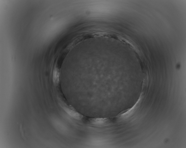 X0000094810191200711241454