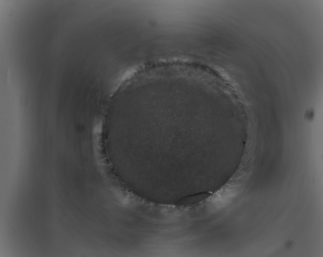 X0000094810192200711241454