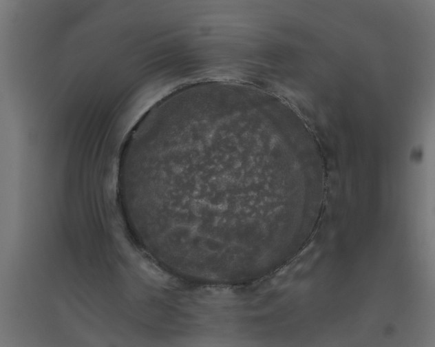 X0000094810194200711241453