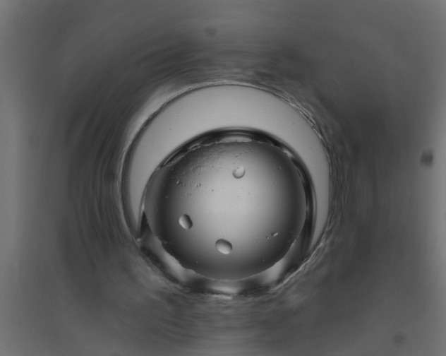 X0000094810195200711241453