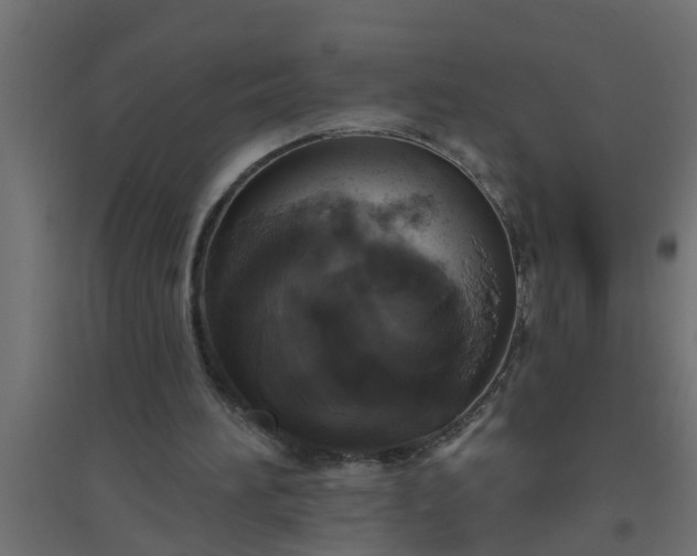 X0000094810196200711241453