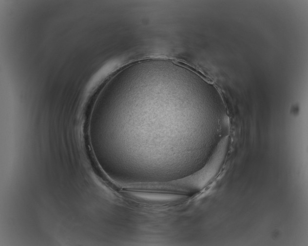 X0000094810197200711241453