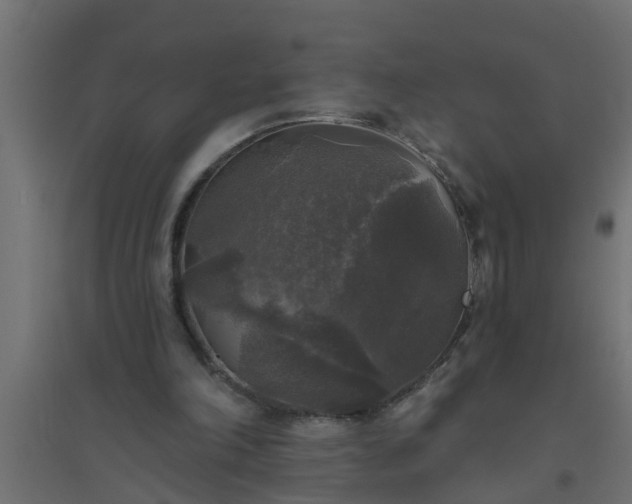 X0000094810198200711241453