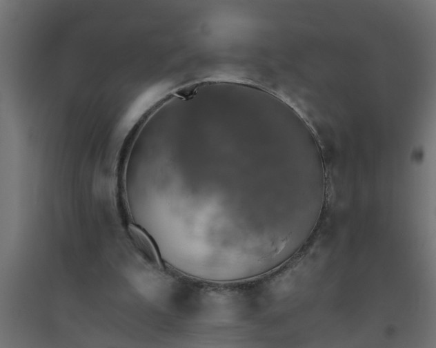 X0000094810199200711241453