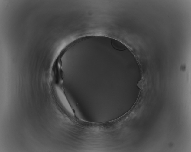 X0000094810200200711241453