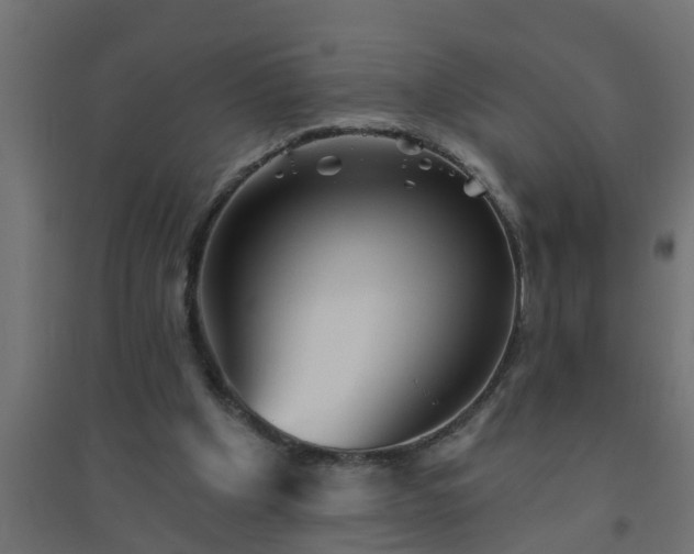 X0000094810201200711241453