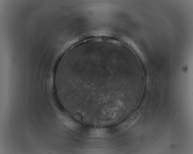 X0000094810202200711241453