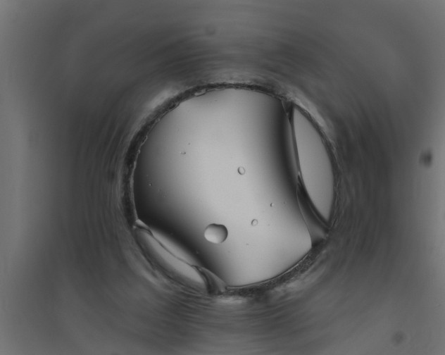 X0000094810203200711241453