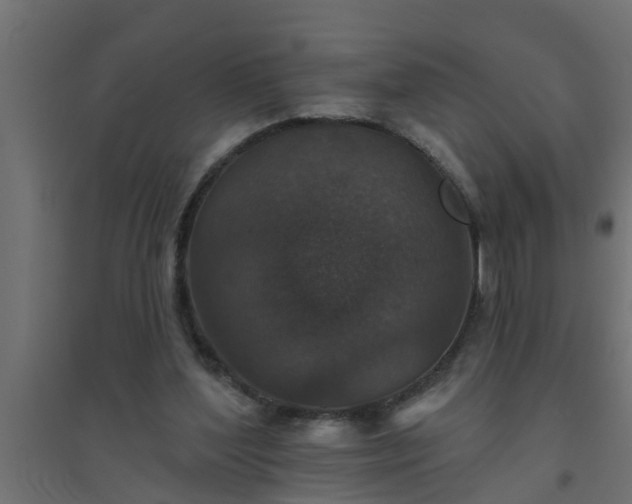 X0000094810204200711241453