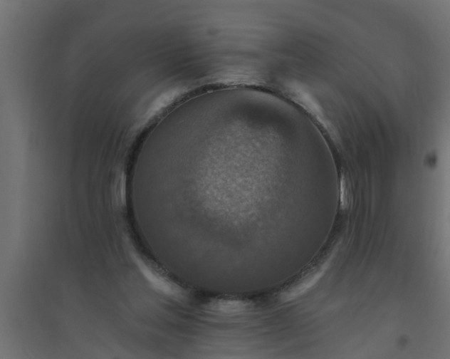 X0000094810205200711241453