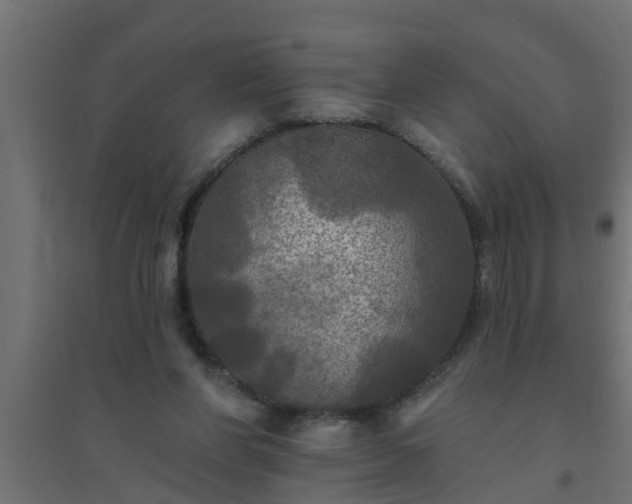 X0000094810206200711241453