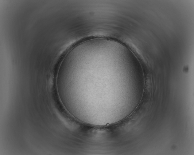 X0000094810208200711241453