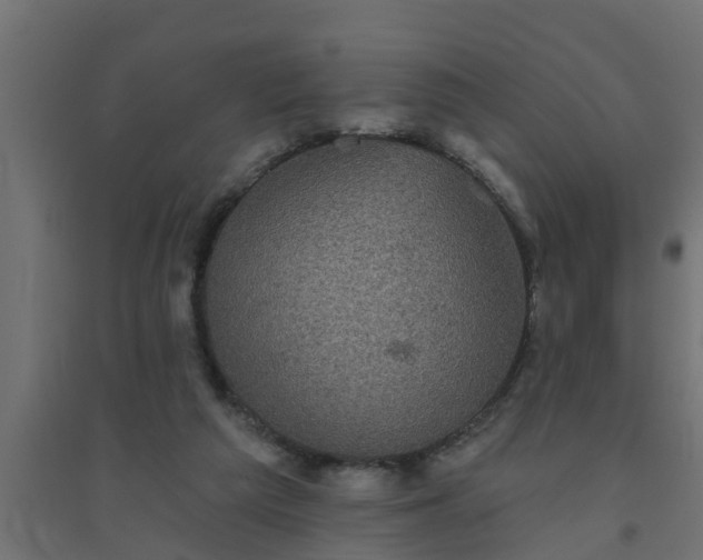 X0000094810209200711241453