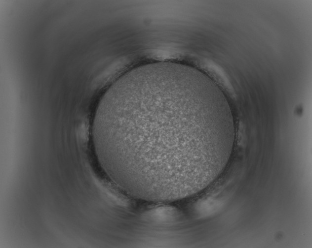 X0000094810210200711241453