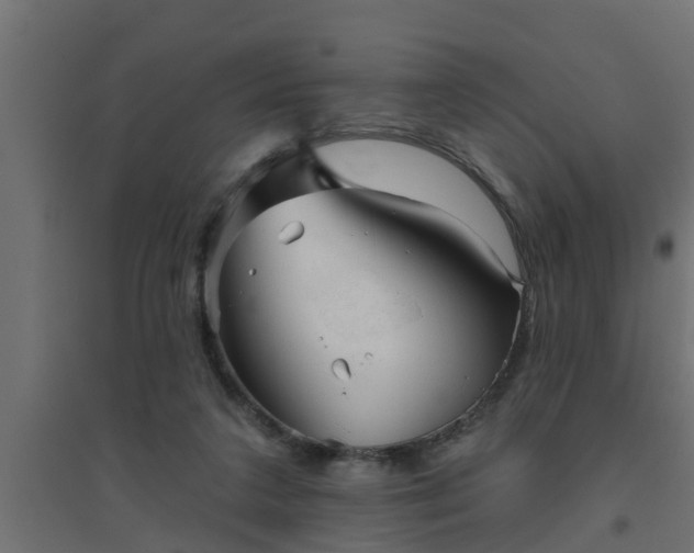 X0000094810211200711241453