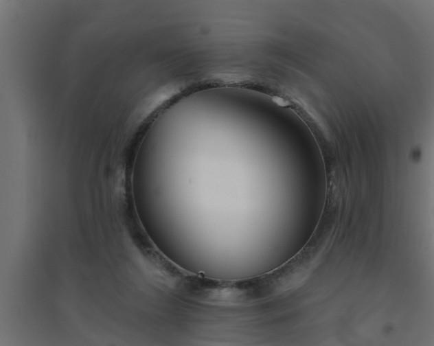 X0000094810212200711241453