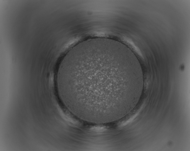 X0000094810213200711241453