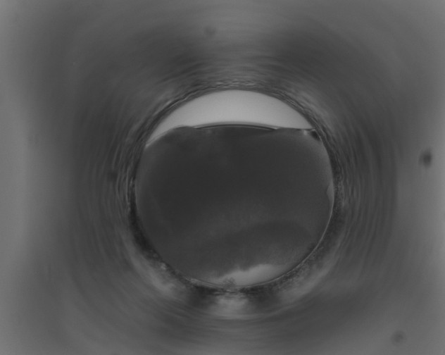 X0000094810214200711241453