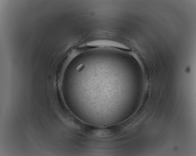 X0000094810215200711241453