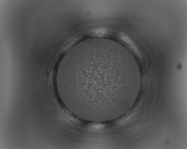 X0000094810217200711241453