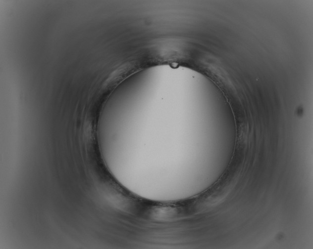 X0000094810220200711241453