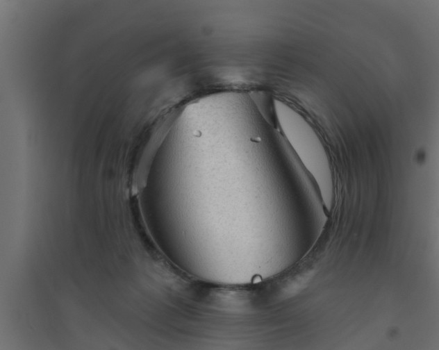 X0000094810221200711241453