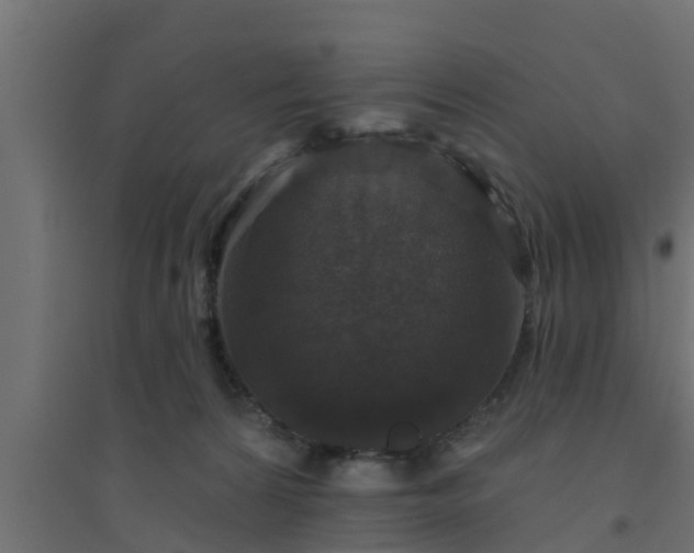 X0000094810224200711241453