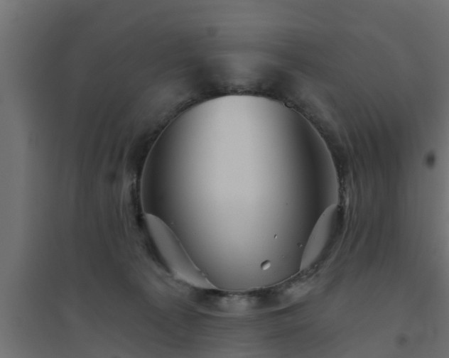 X0000094810225200711241453