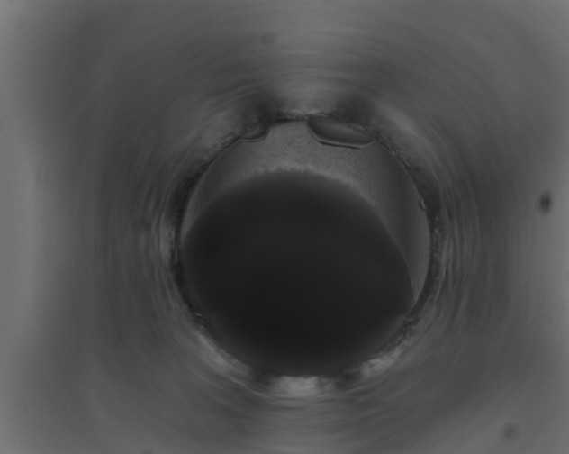 X0000094810227200711241453