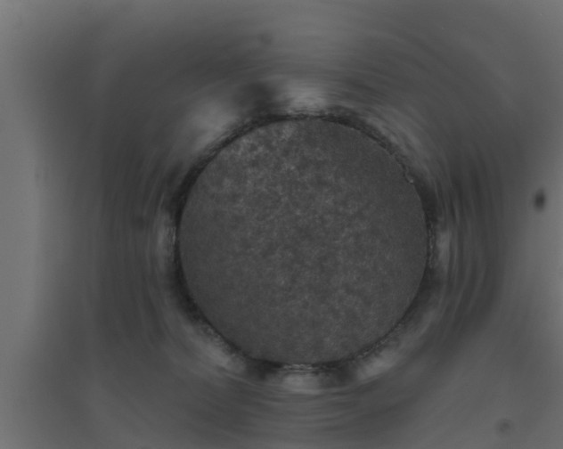 X0000094810228200711241453